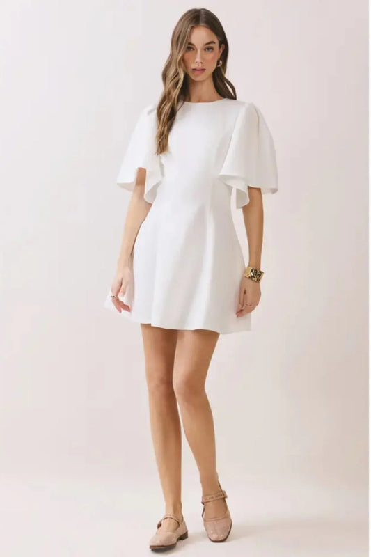 Classic Beauty Dress